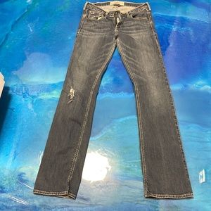 HollisterSize  W29  L35